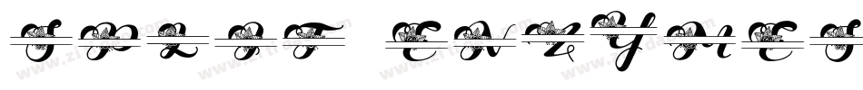 Split Enzymes字体转换